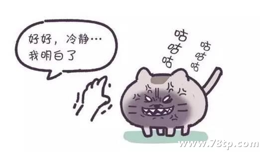 如何吸猫能让人达到最嗨的状态？