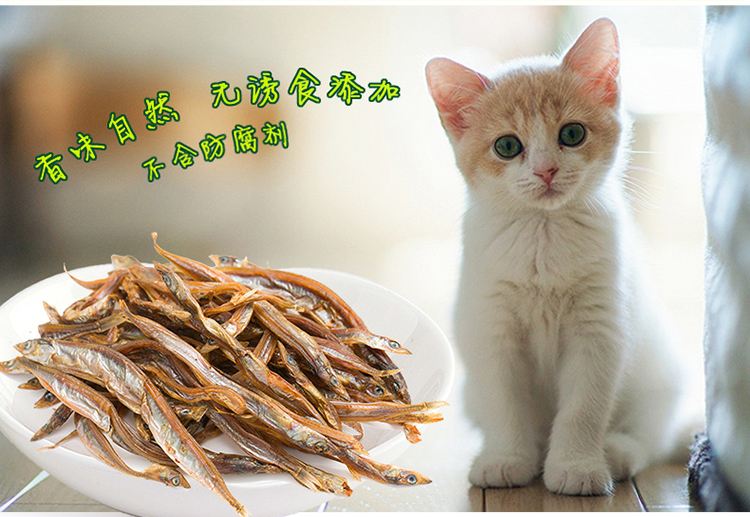 小鱼干算是最好的猫粮吗？