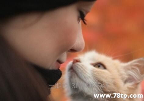 猫咪对主人会有感情吗？
