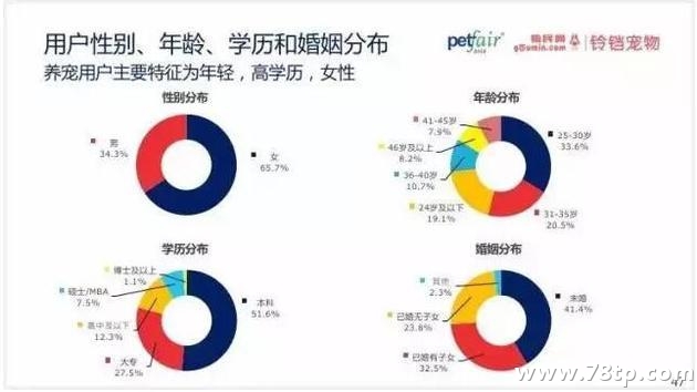 侍候一只喵主子一个月要花多少钱？