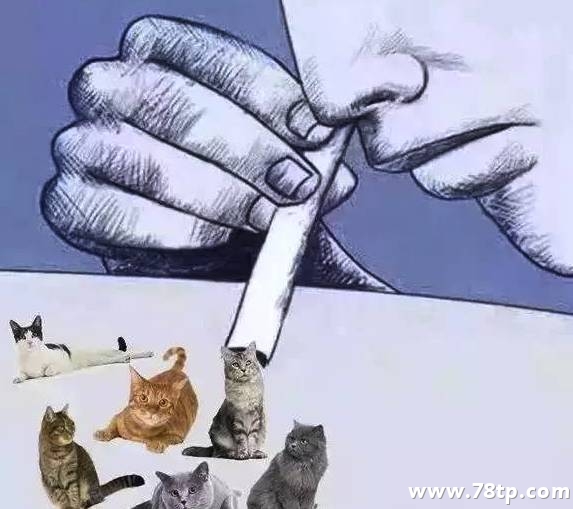 戒不了了，就这样吧