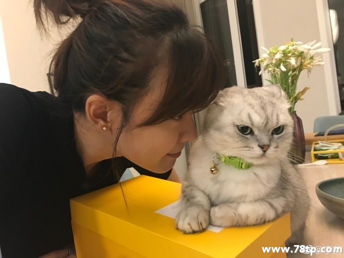借猫所你刘某表示：戒不了了，大家来一起嗨