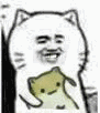 专业吸猫