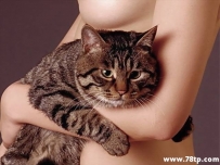 为什么那么多美女喜欢猫？