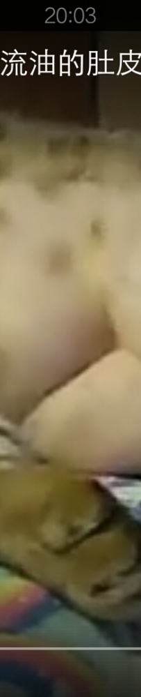 2018年最肥的猫，一撸一层油