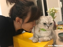 借猫所你刘某表示：戒不了了，大家来一起嗨